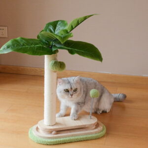 Elegant Canna Lily Cat Tree