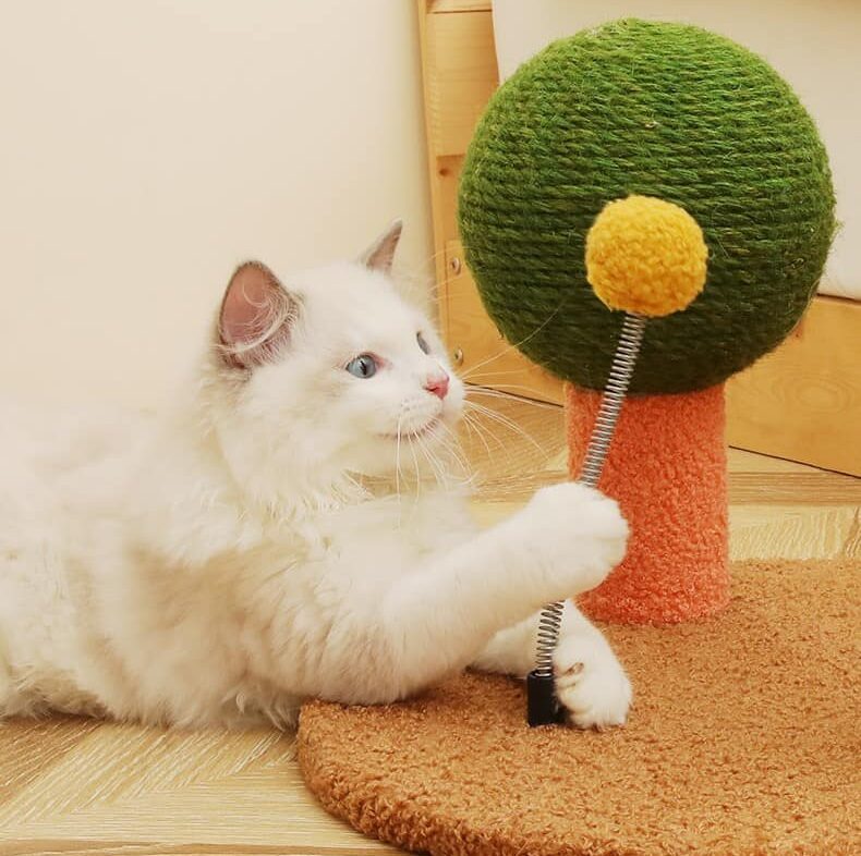 Medium Red Character Fun Cat Tree Medium Red Character Fun Cat Tree