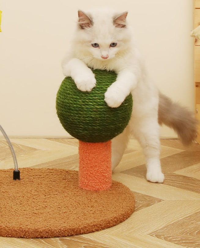 Medium Red Character Fun Cat Tree Medium Red Character Fun Cat Tree