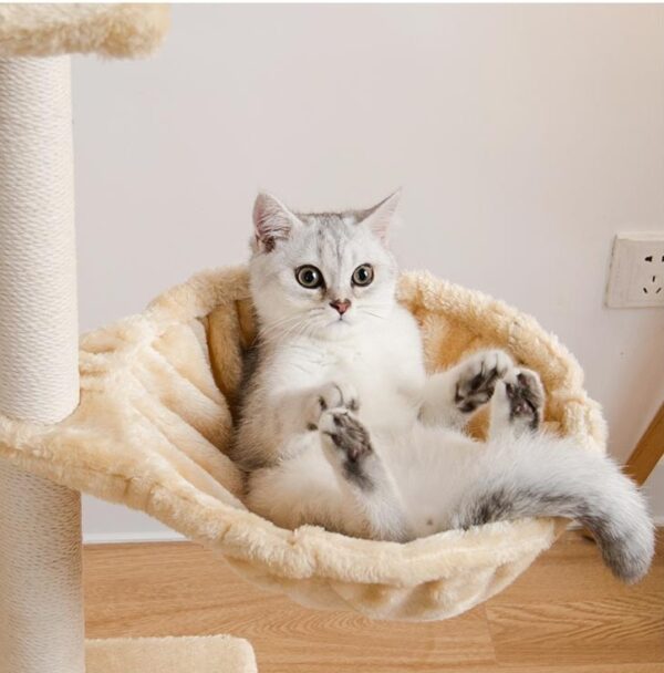 premium 5 level cat tower