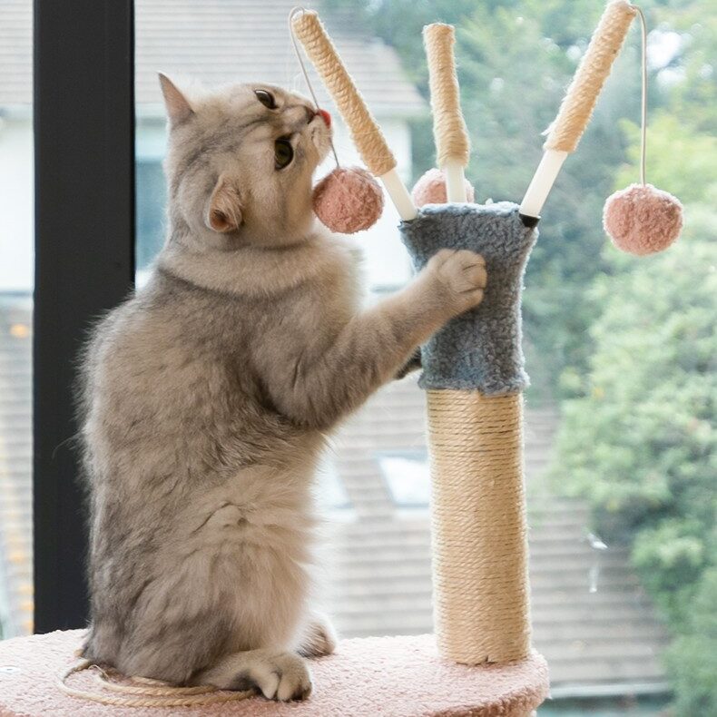 big cat cat tree (4)