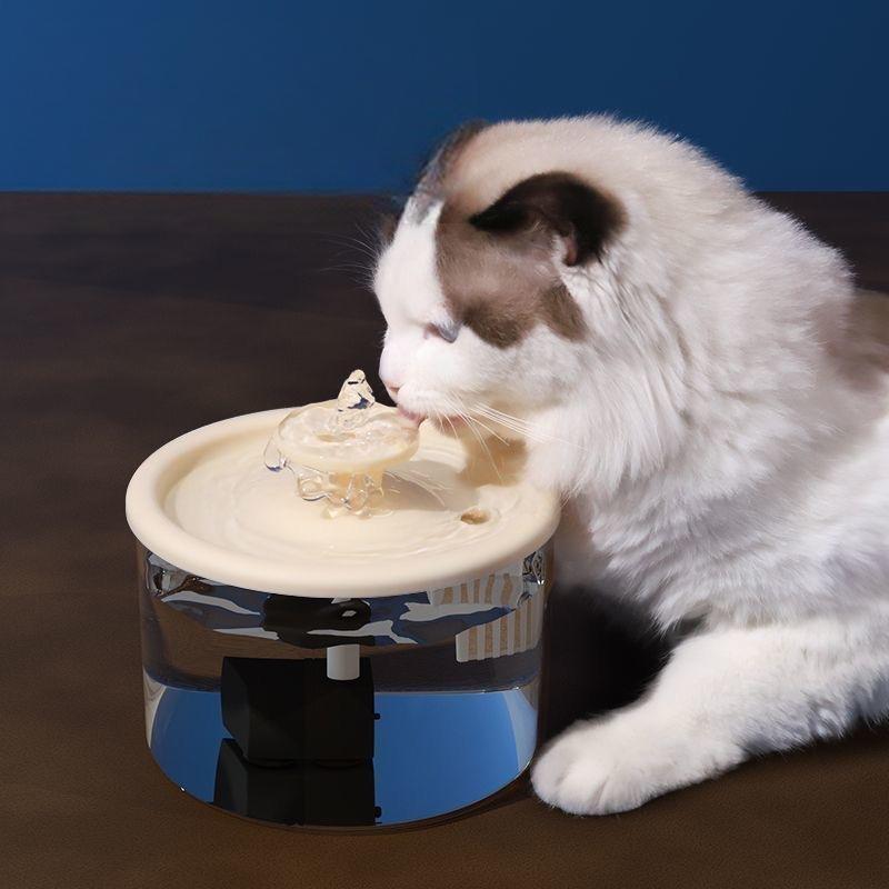 Modern Square Cat Water Fountain - Purple Design with Multiple Water Streams Modern Square Cat Water Fountain - Purple Design with Multiple Water Streams