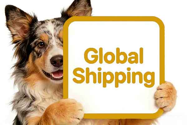 smart pet products wholesale (3)