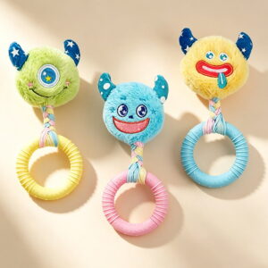 TPR Rubber Ring Interactive Dog Toy